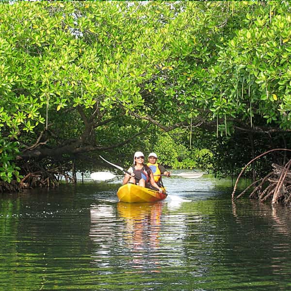 ao thalane mangrove kayaking