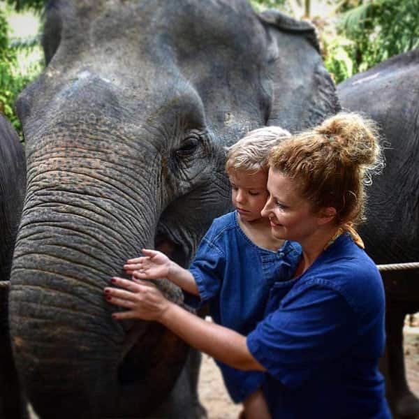krabi elephant house sanctuary tour